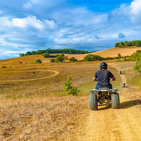 6 Pers Avec Terrasse - Api-1-52-825 Gondrin