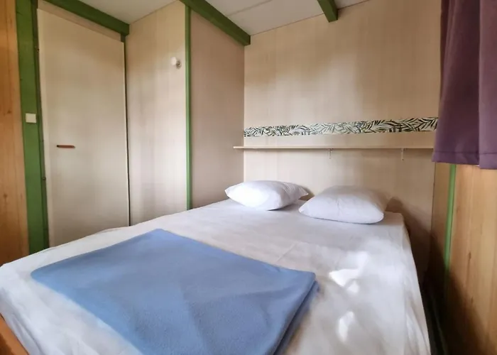 6 Pers Avec Terrasse - Api-1-52-825 * Gondrin