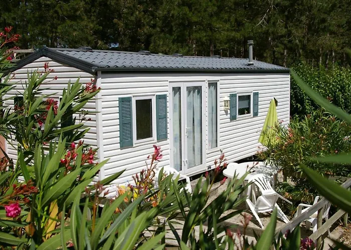 6 Pers Avec Terrasse - Api-1-52-825